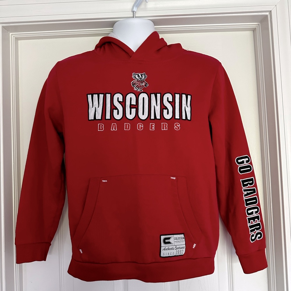 Wisconsin Badger Hoodie